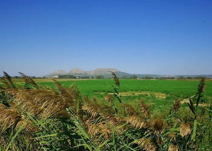 Mare Nostrum 323 * 埃斯塔蒂特